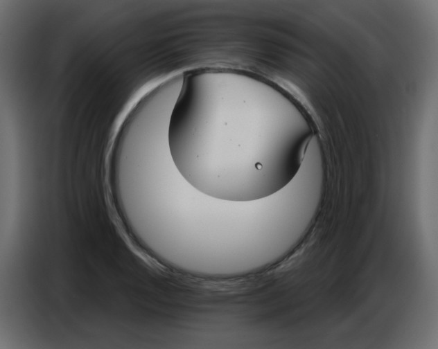 X0000086801128200705041603