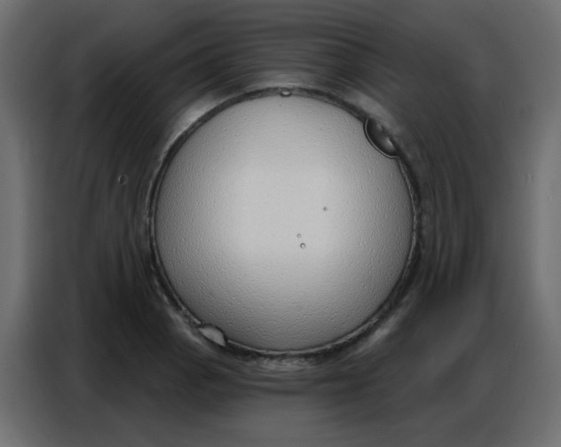 X0000086801129200705041603