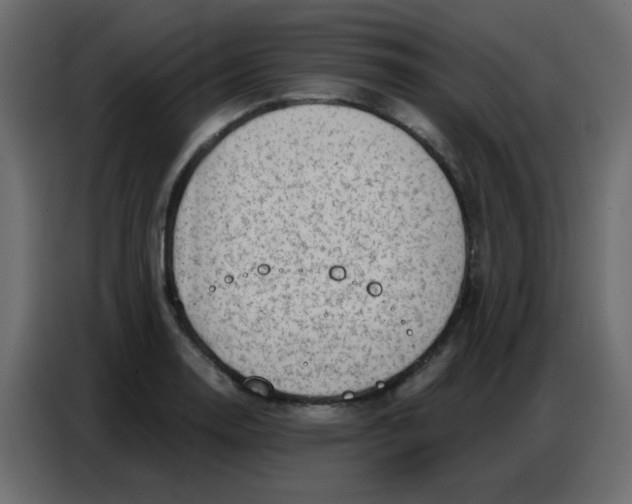 X0000086801130200705041603