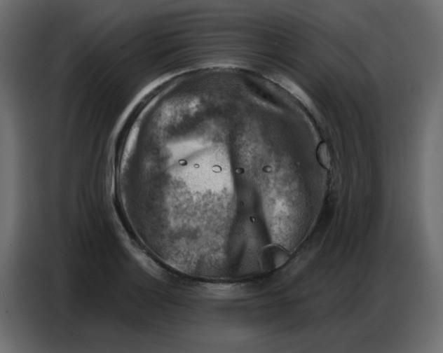 X0000086801132200705041603