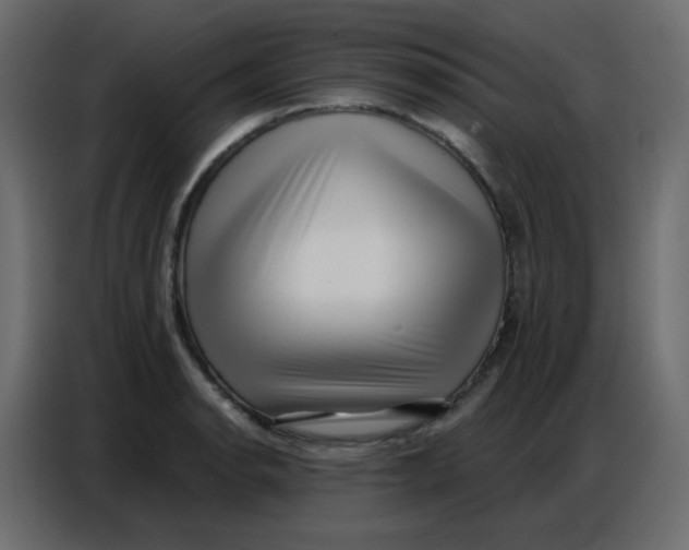 X0000086801134200705041603