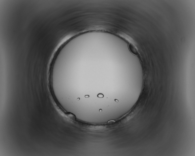 X0000086801135200705041603