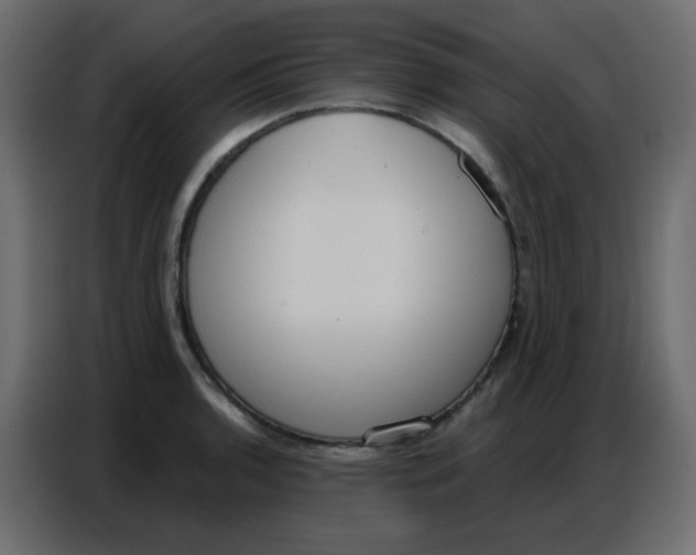 X0000086801136200705041603