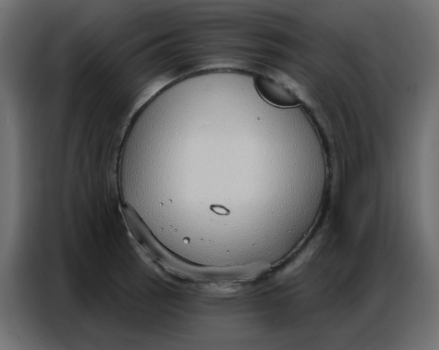 X0000086801137200705041603