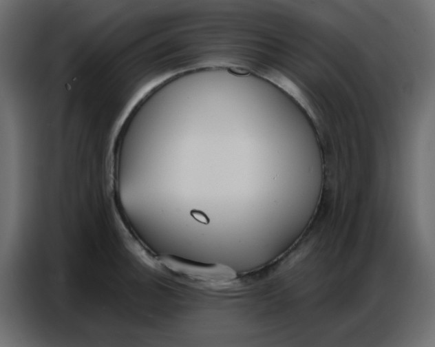 X0000086801140200705041603