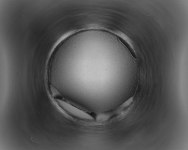 X0000086801142200705041603