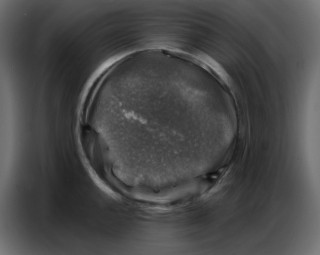 X0000086801144200705041603