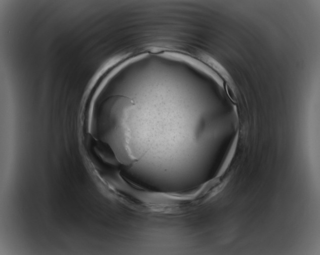 X0000086801146200705041603