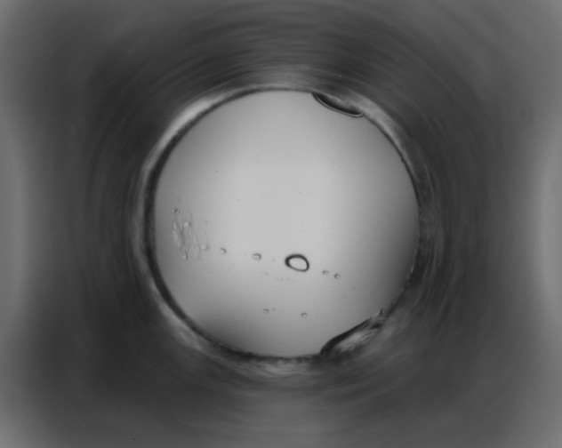 X0000086801147200705041603