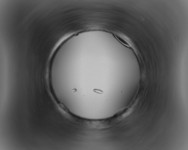 X0000086801149200705041603