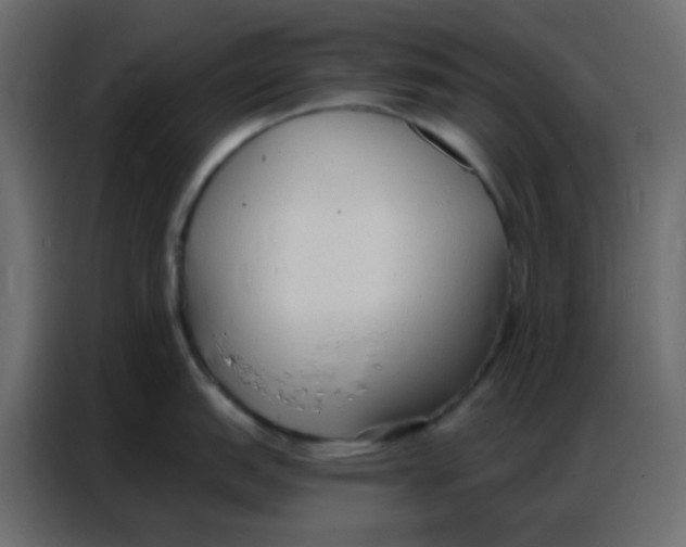 X0000086801151200705041603