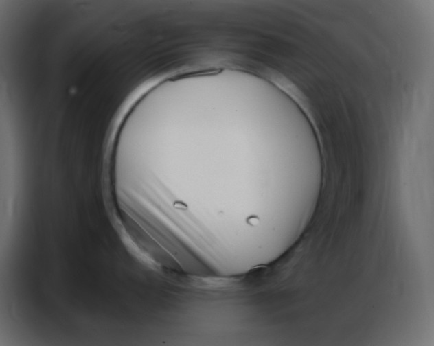 X0000086801152200705041603