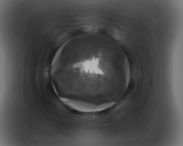 X0000086801154200705041602