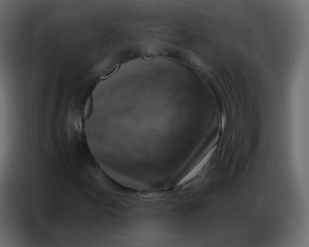 X0000086801155200705041602