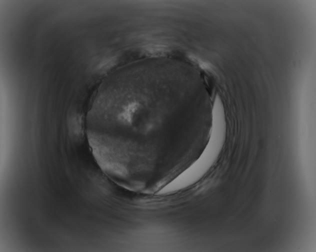 X0000086801156200705041602