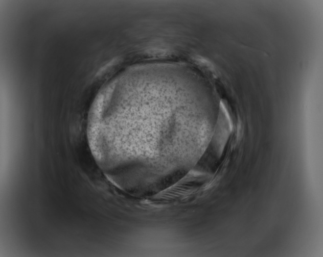 X0000086801157200705041602