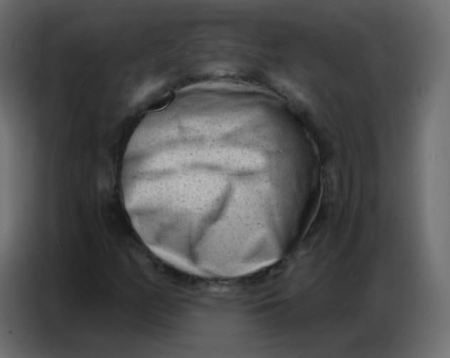 X0000086801158200705041602