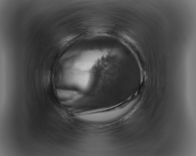 X0000086801161200705041602