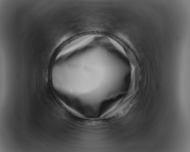 X0000086801165200705041602