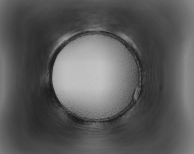 X0000086801167200705041602