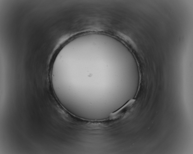 X0000086801168200705041602