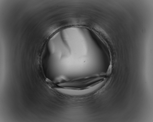 X0000086801169200705041602