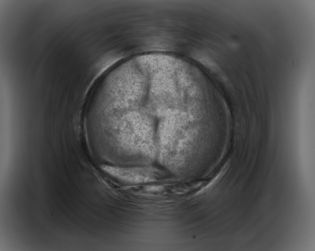 X0000086801170200705041602