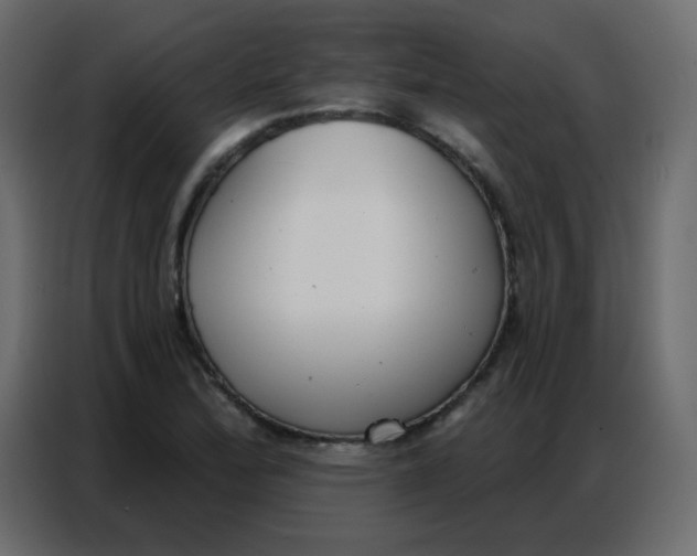 X0000086801172200705041602