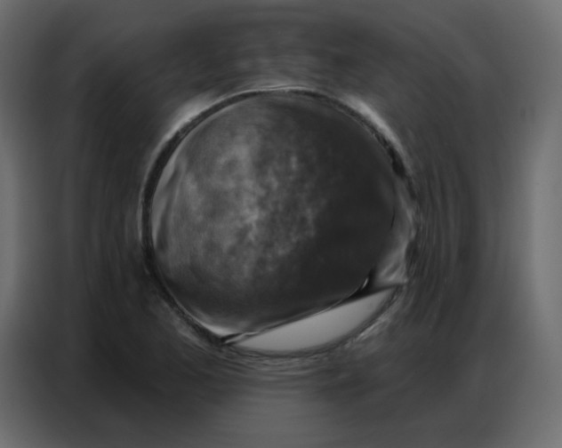 X0000086801173200705041602