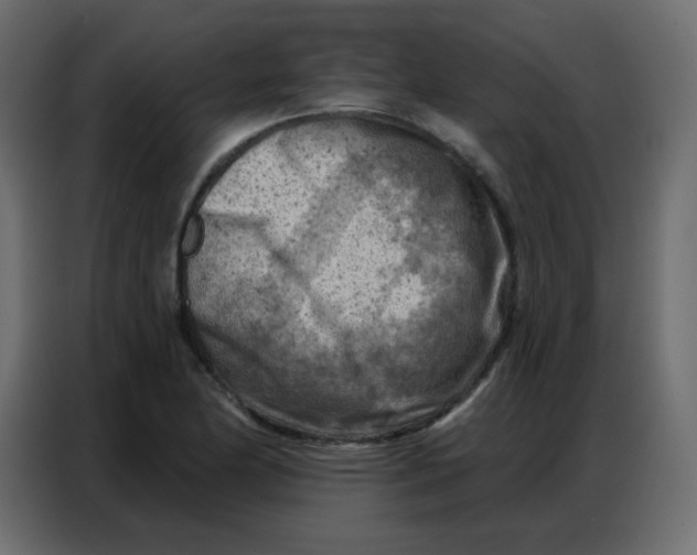 X0000086801174200705041602