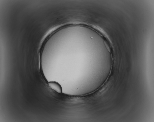 X0000086801175200705041602