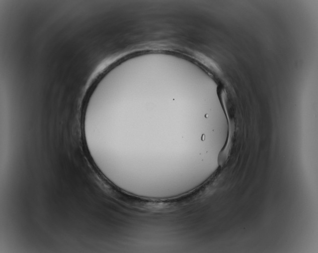 X0000086801176200705041602