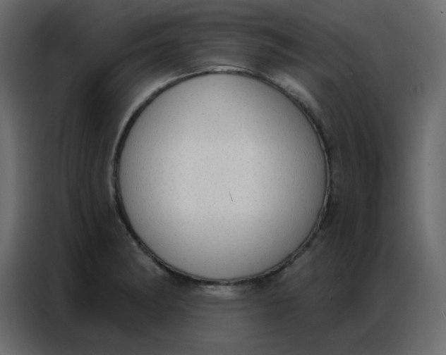 X0000086801182200705041602