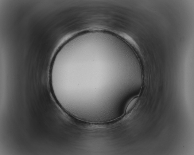 X0000086801183200705041602