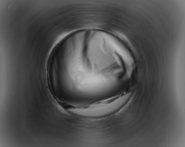 X0000086801184200705041602