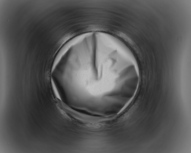 X0000086801185200705041602