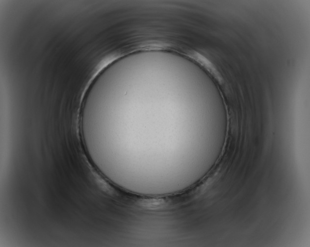 X0000086801186200705041602