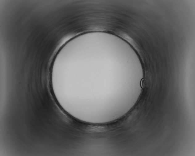 X0000086801187200705041602