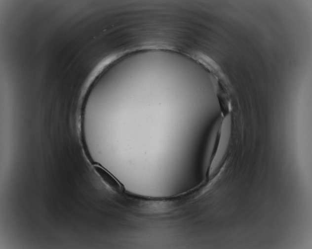 X0000086801188200705041602