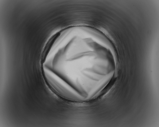 X0000086801189200705041602