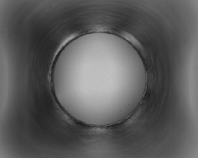 X0000086801190200705041602