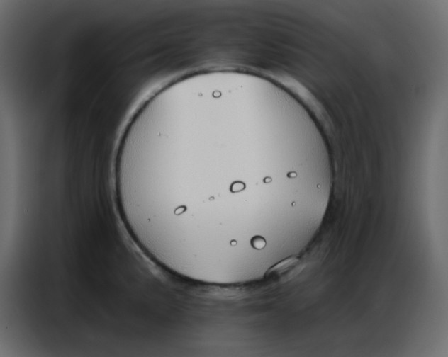 X0000086801191200705041602