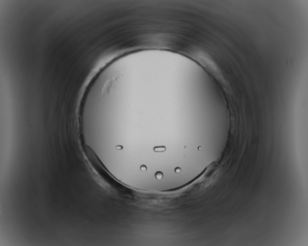 X0000086801192200705041602