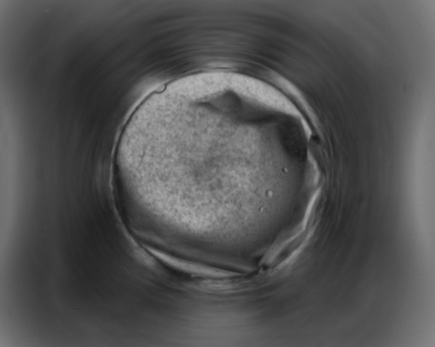 X0000086801194200705041602