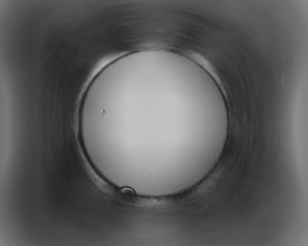 X0000086801195200705041602