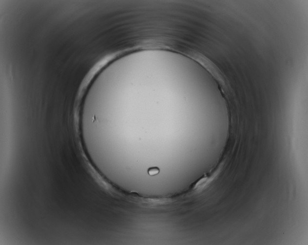 X0000086801196200705041602