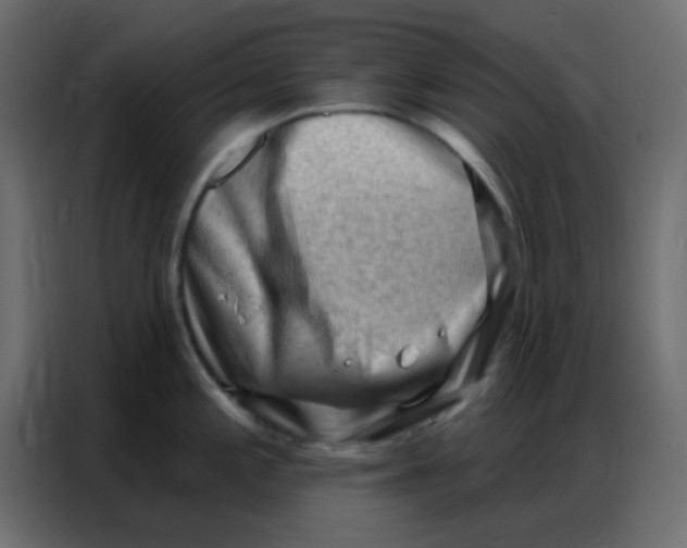 X0000086801197200705041602