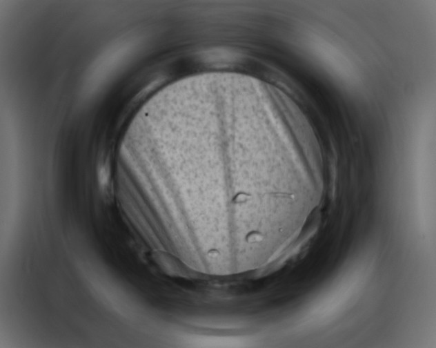 X0000086801198200705041602