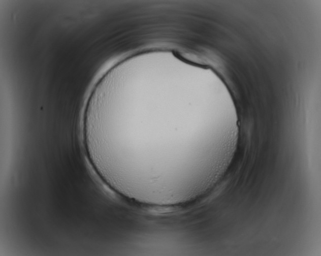 X0000086801199200705041602