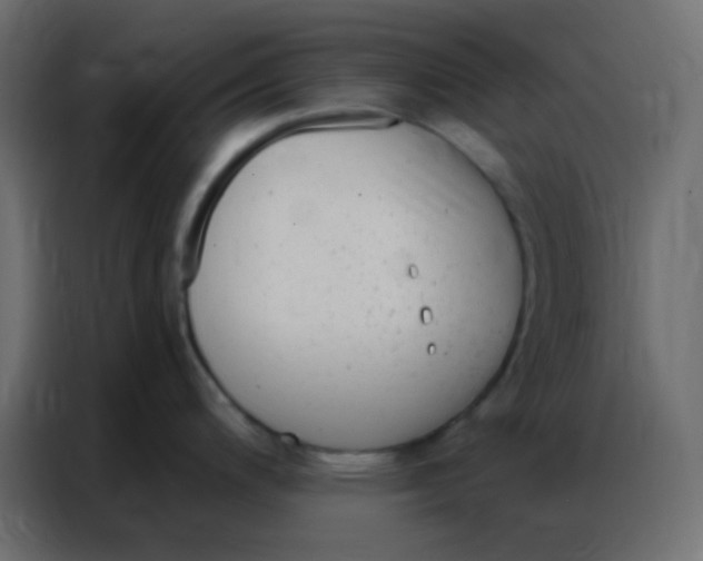 X0000086801200200705041602